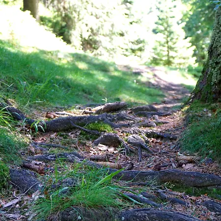 Szálloda Beck Lauscha