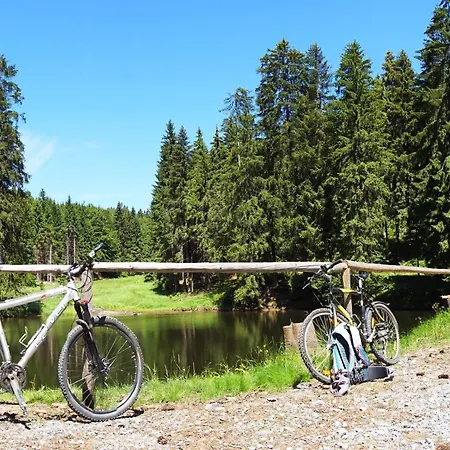 Отель Beck Лауша